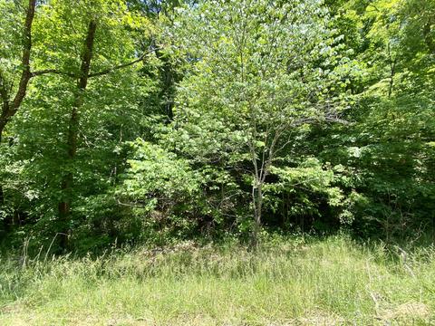 860 Patty Loveless Dr, Elkhorn City, KY 41522