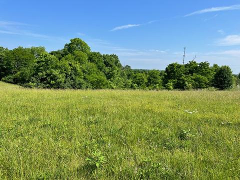 2200 Scotts Ferry Rd, Versailles, KY 40383