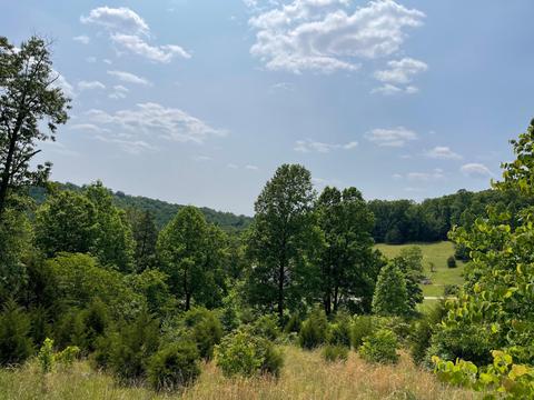 0000 Georges Dr, Ferguson, KY 42533