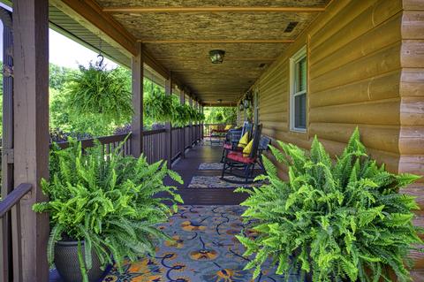 293 Rock Creek Rd, Sandy Hook, KY 41171 photo 7