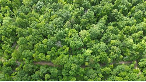1537 B High Rock Rd, Stanton, KY 40380