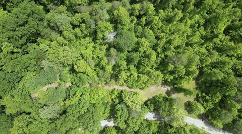 1437 High Rock Road Rd, Stanton, KY 40380