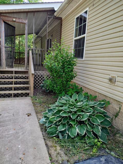 1203 Armory Dr, Jackson, KY 41339 photo 7