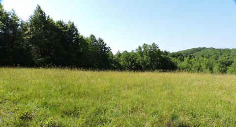 426 Adams Ln, Wellington, KY 40387