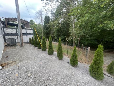 140 Cedar Crest Rd, Nancy, KY 42544 photo 20