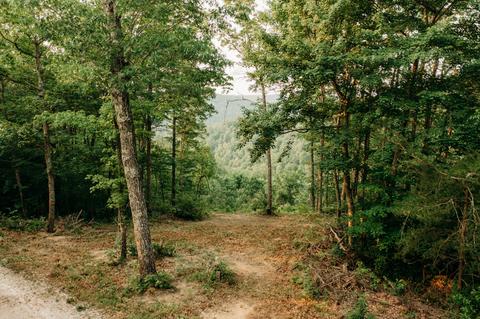 1162 Forest View Dr, Frenchburg, KY 40322