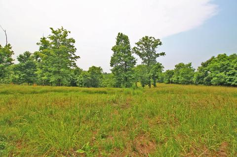 9535 Bob Rogers Rd, Frankfort, KY 40601