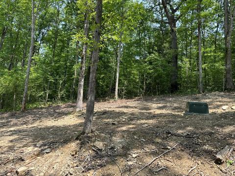 Tract 2 Big Sky Road, Corbin, KY 40701 photo 7