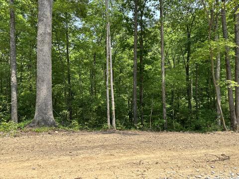 Tract 2 Big Sky Road, Corbin, KY 40701 photo 11