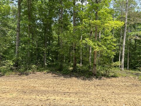 Tract 2 Big Sky Road, Corbin, KY 40701 photo 16