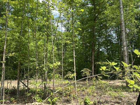 3 Big Sky Road, Corbin, KY 40701 photo 7