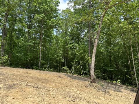 3 Big Sky Road, Corbin, KY 40701 photo 6
