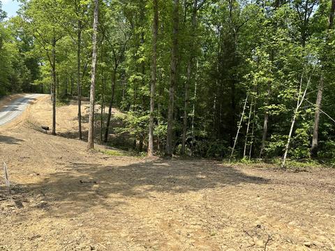 3 Big Sky Road, Corbin, KY 40701 photo 4