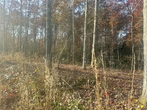 Tract 7 Bozeman Road, Corbin, KY 40701 photo 18
