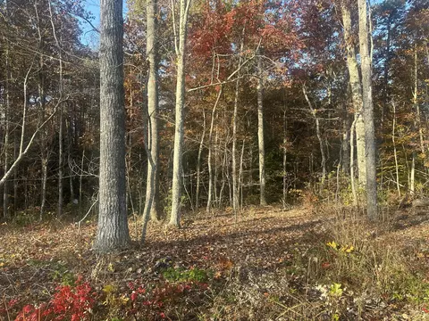 Tract 7 Bozeman Road, Corbin, KY 40701 photo 15