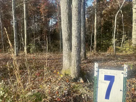 Tract 7 Bozeman Road, Corbin, KY 40701