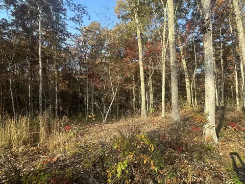 Tract 7 Bozeman Road, Corbin, KY 40701 photo 12