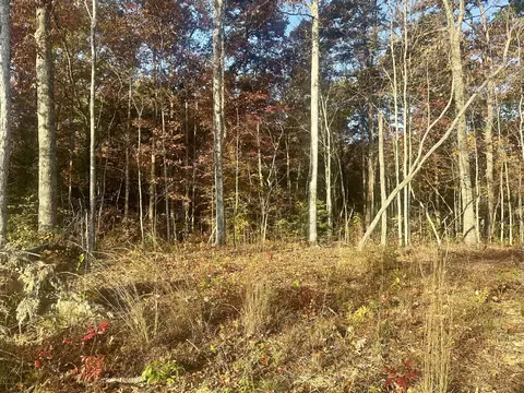 Tract 7 Bozeman Road, Corbin, KY 40701 photo 5