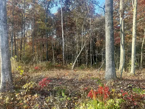 Tract 7 Bozeman Road, Corbin, KY 40701 photo 7