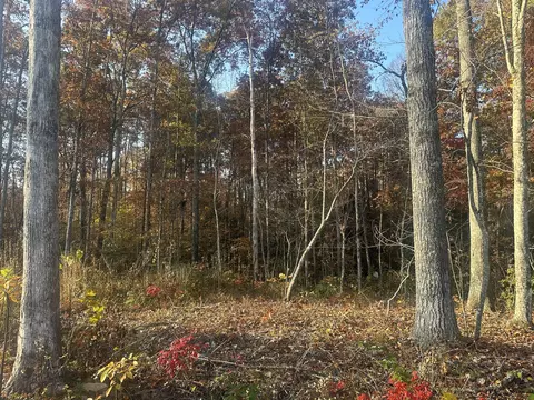 Tract 7 Bozeman Road, Corbin, KY 40701 photo 16