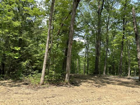 Tract 9 Bozeman Road, Corbin, KY 40701 photo 13
