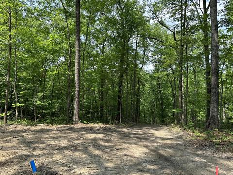Tract 9 Bozeman Road, Corbin, KY 40701 photo 15