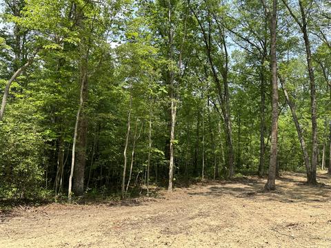 Tract 9 Bozeman Road, Corbin, KY 40701 photo 11