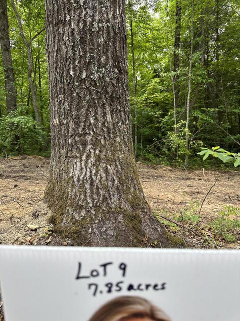 Tract 9 Bozeman Road, Corbin, KY 40701 photo 3