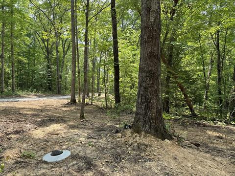 Tract 9 Bozeman Road, Corbin, KY 40701 photo 17