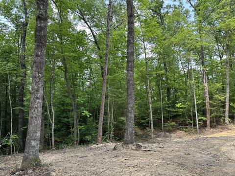 Tract 9 Bozeman Road, Corbin, KY 40701 photo 7