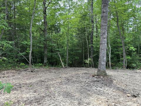 Tract 9 Bozeman Road, Corbin, KY 40701 photo 5