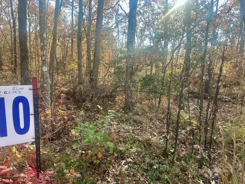 Tract 10 Bozeman Road, Corbin, KY 40701