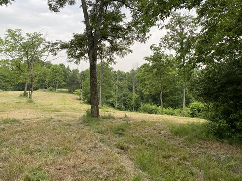 1100 Fairview Rd, Williamstown, KY 41097