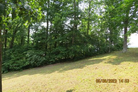 247 Crescent Dr, Baxter, KY 40806 photo 169