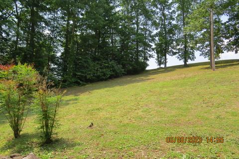 247 Crescent Dr, Baxter, KY 40806 photo 176