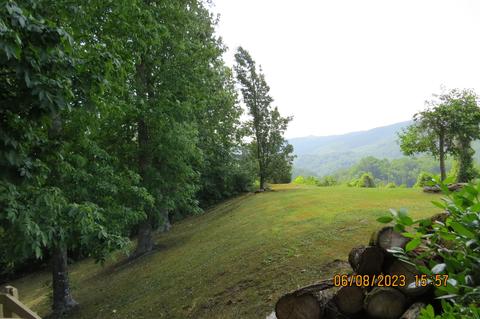247 Crescent Dr, Baxter, KY 40806 photo 225