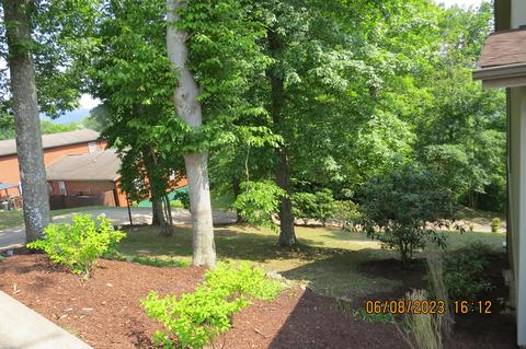 247 Crescent Dr, Baxter, KY 40806 photo 185