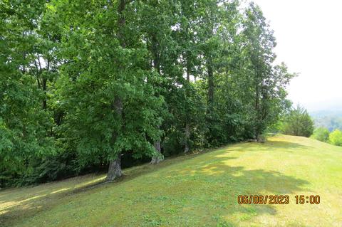247 Crescent Dr, Baxter, KY 40806 photo 189