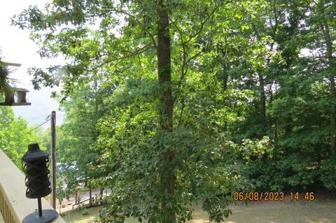 247 Crescent Dr, Baxter, KY 40806 photo 133