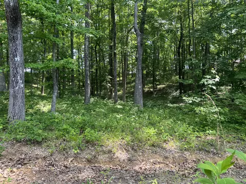347 Johnstown Rd, Nancy, KY 42544 photo 4