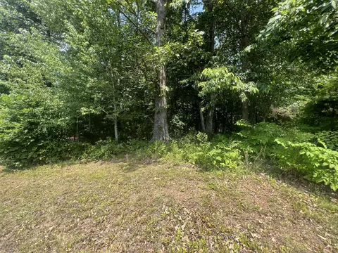 347 Johnstown Rd, Nancy, KY 42544 photo 8