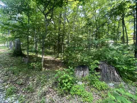 347 Johnstown Rd, Nancy, KY 42544 photo 6