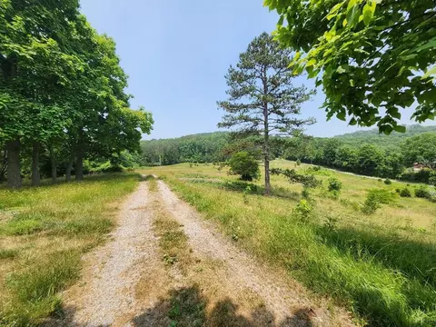 399 Coomer Rd, Burnside, KY 42519 photo 51