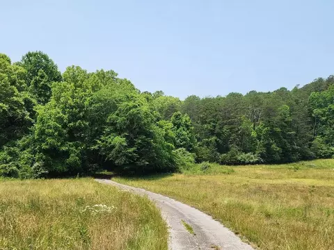 399 Coomer Rd, Burnside, KY 42519 photo 58