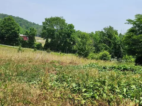 399 Coomer Rd, Burnside, KY 42519 photo 62