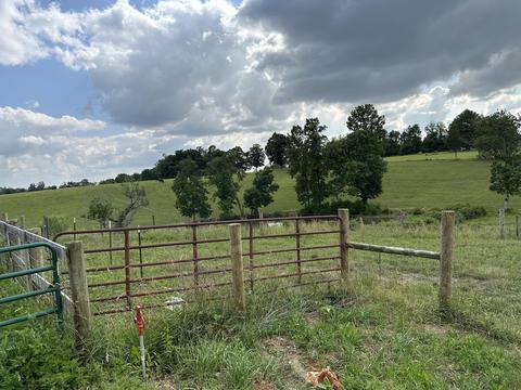 11287 W 80, Nancy, KY 42544 photo 14