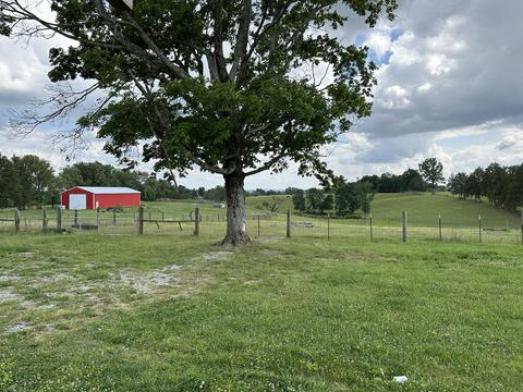 11287 W 80, Nancy, KY 42544 photo 16