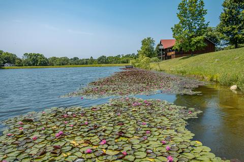 241 Cedar Lk, Ewing, KY 41039 photo 52