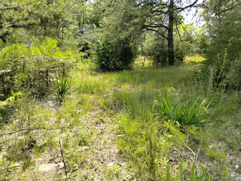 628 Cedar Cliff Rd, Waco, KY 40385 photo 1