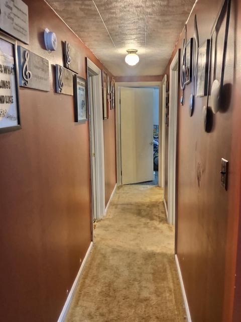 107 Cotton Dr, Tyner, KY 40486 photo 16